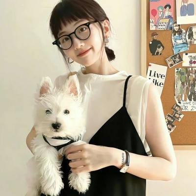 海底小纵队 第八季